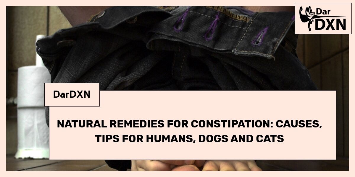 Visual Reference: Natural Remedies For Constipation Causes Tips For Humans Dogs And
